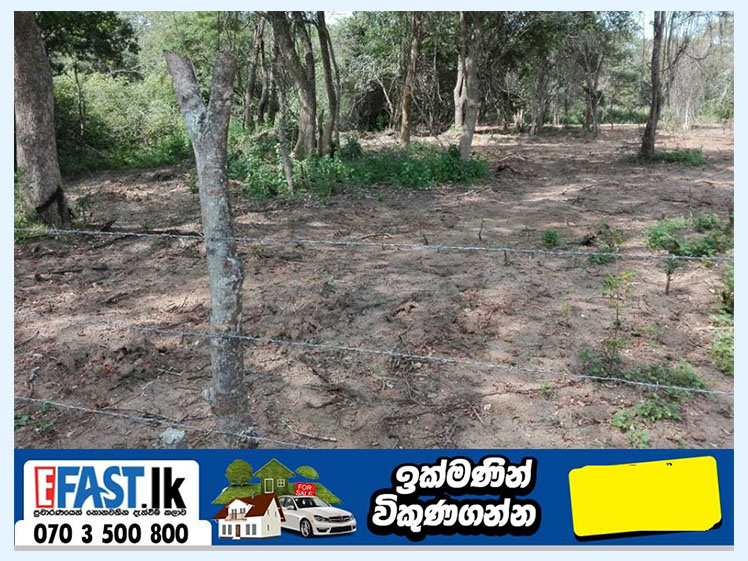 LAND | FOR SALE | ANURADHAPURA